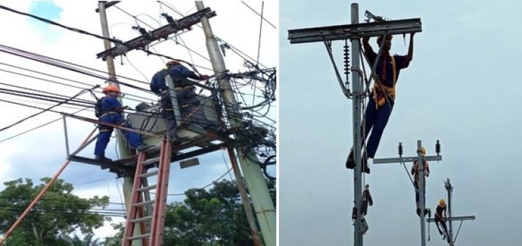 Electrical Power Network Engineering